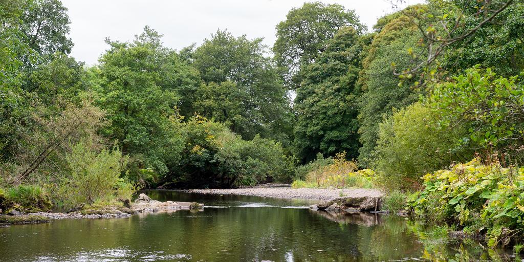 Campsie Glen Holiday Park Fintry Zewnętrze zdjęcie
